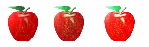 apple fruit food