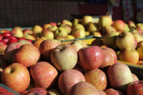 apple sale fruit