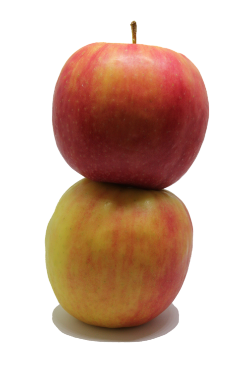 apple fruit png