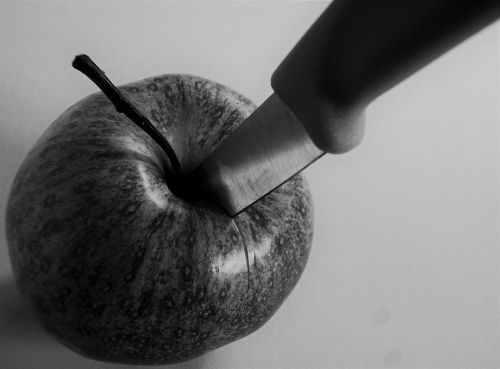 apple fruit knife