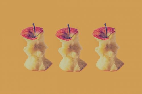 apple fruit art