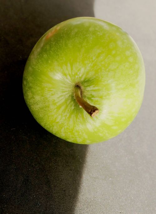 apple apfelernte apple stalk