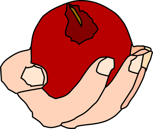 apple red food
