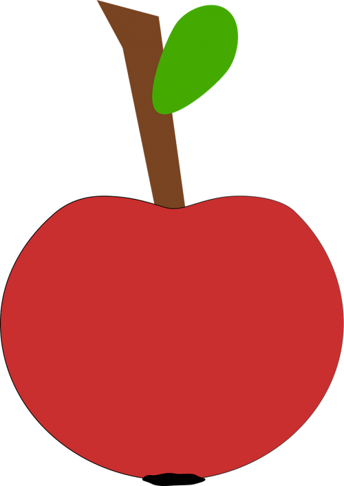 apple fruit red