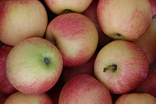 apple fruit healthy