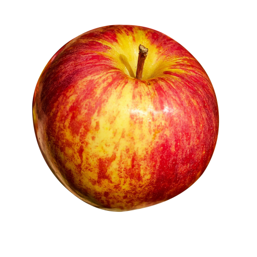 apple isolated fruit