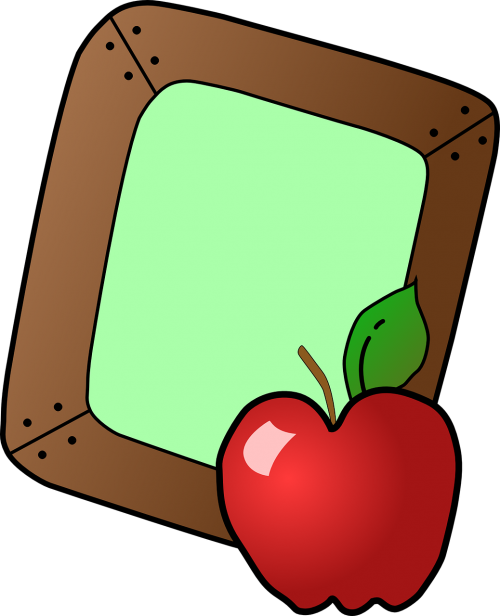 apple tray fruit