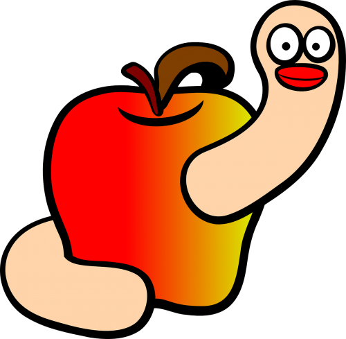 apple fruit worm