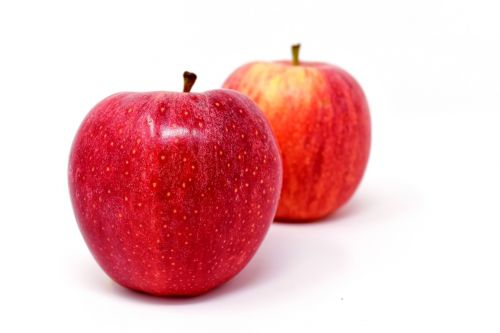 apple fruit red apple