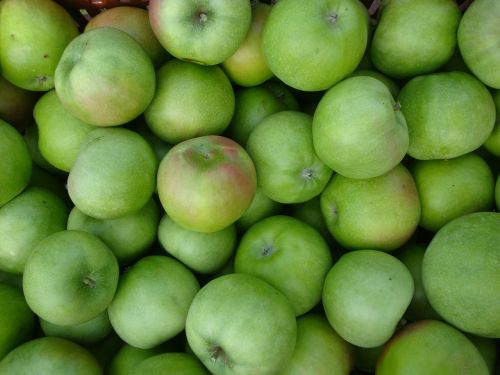 apple fruit green