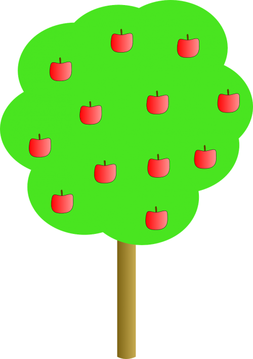 apple tree apples
