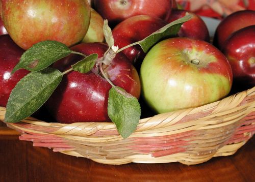 apple fruit food