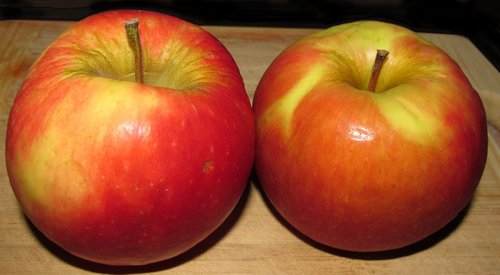 apple  fruit  food