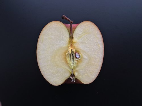 apple  cut  food