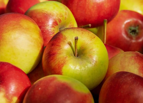 apple  elstar  fruit