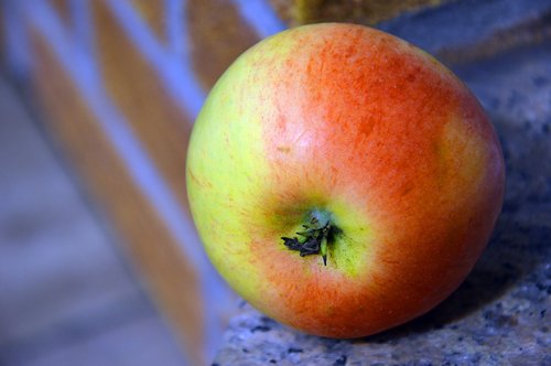 apple  fruit  pome fruit