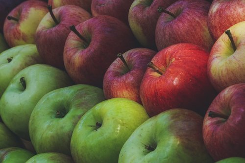 apple  fruits  fruit