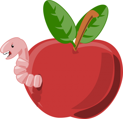 apple red worm
