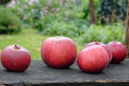 apple  apples  fruit