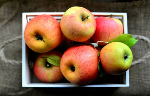apple  goldparmäne  healthy