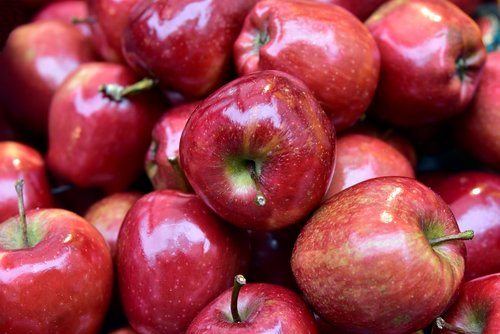 apple  fruits  harvest