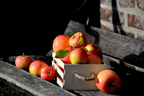 apple  goldparmäne  box