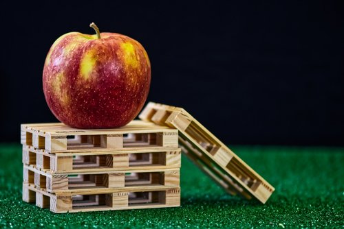 apple  fruit  healthy