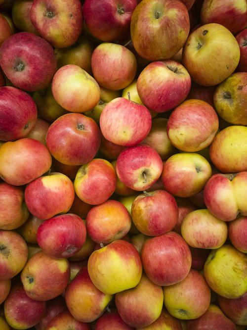 apple  market  fruit