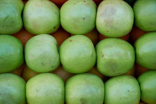 apple  fruit  green