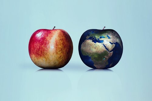 apple  earth  globe