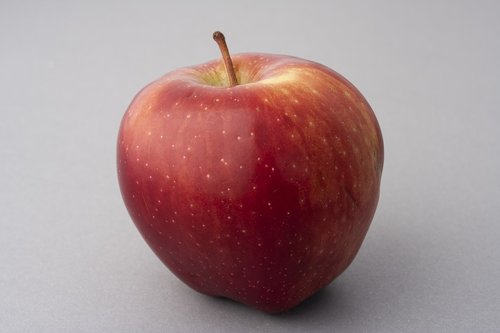 apple  red  fruit