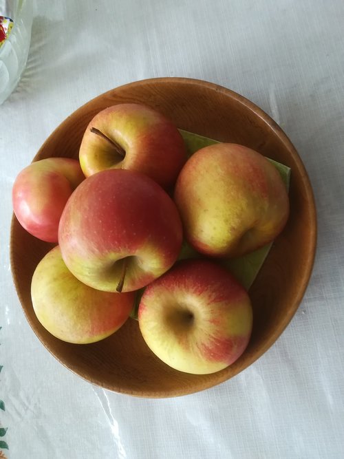 apple  bowl  fruit