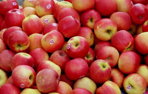 apple apple crate farmers local market