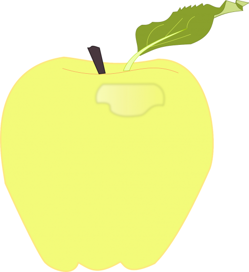 apple food fruit