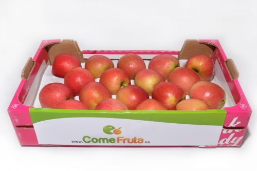 apple pink lady box of apples