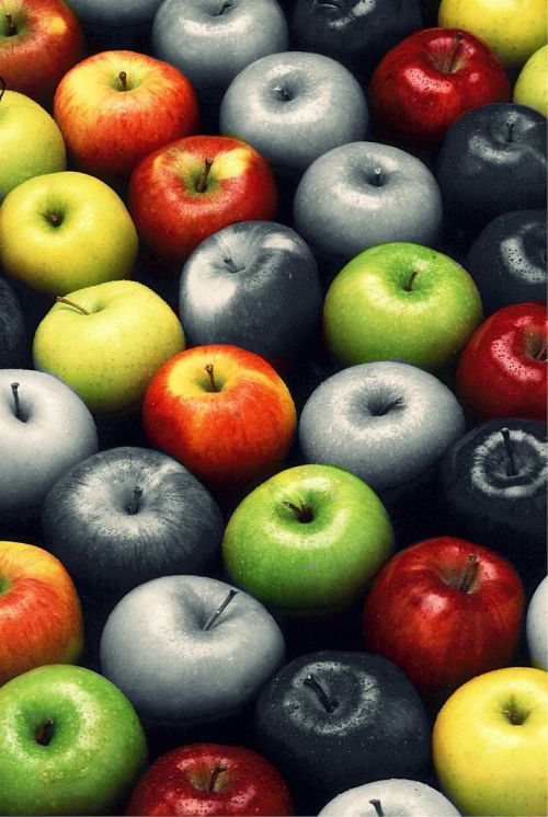 apple fruit fruits