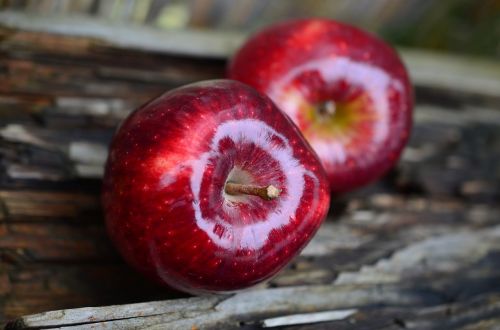 apple red apple fruit