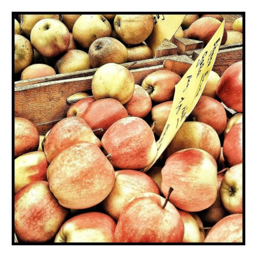 apple fruit market