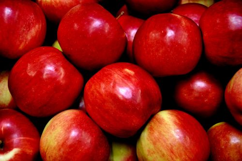 apple red fruit