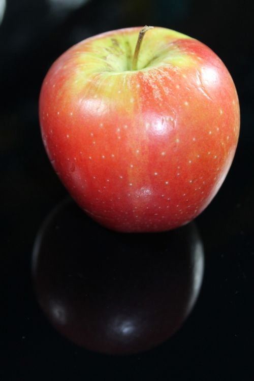 apple red stengel