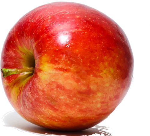 apple fruit closeup