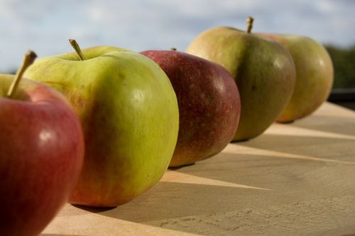 apple fruit