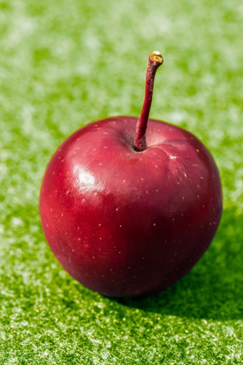 apple red frisch