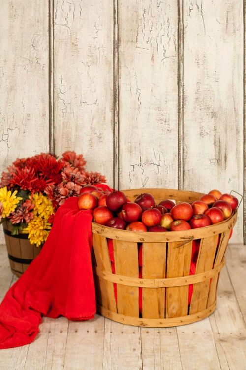 apple basket apples in basket fall