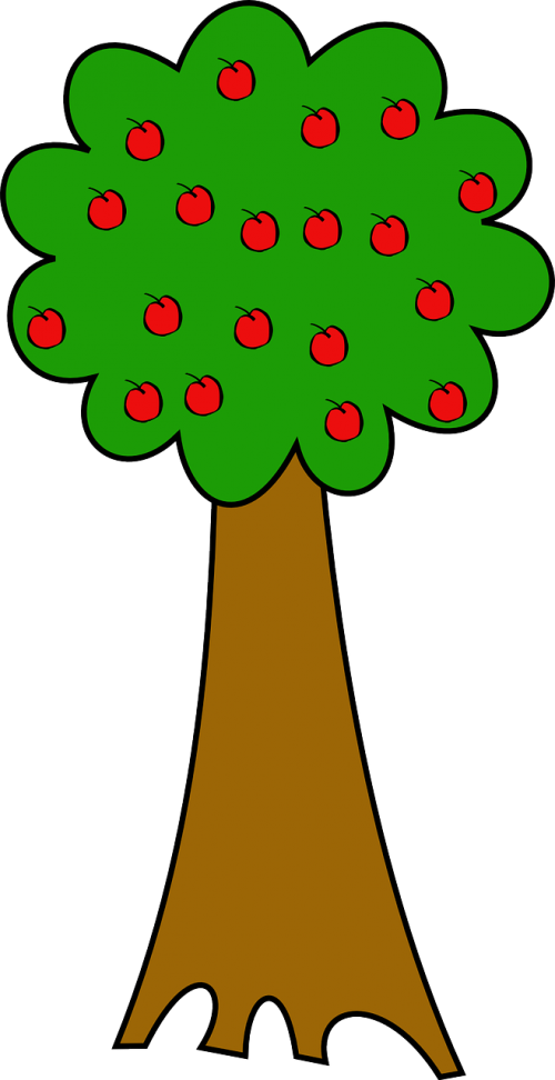 apple tree tree trunk