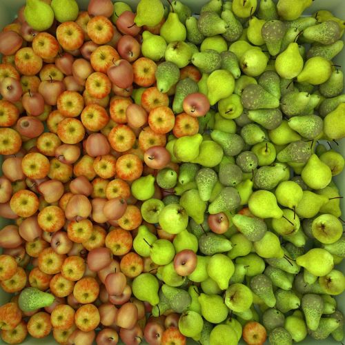 apples pears fruit
