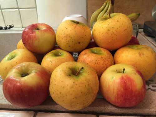 apples yellow kitchen