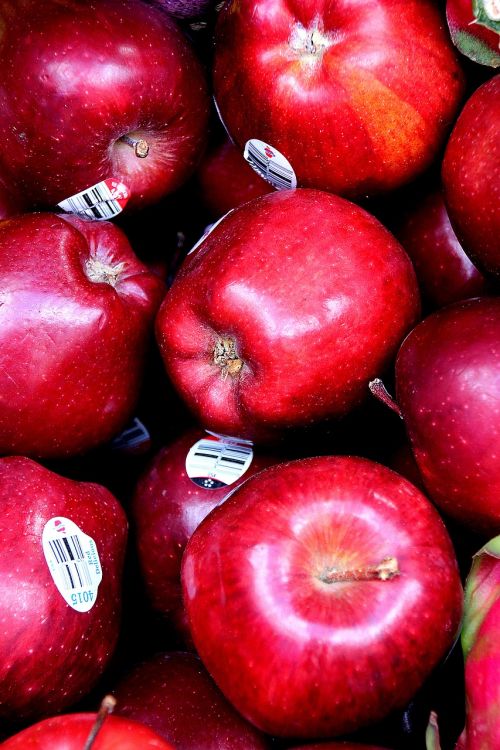 apples red apples fruit
