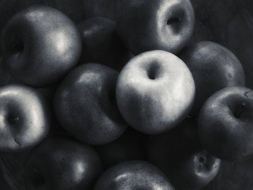 apples black and white forbidden fruit