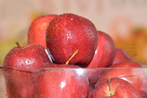 apples fruit red